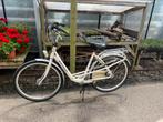 Batavus mambo, Fietsen en Brommers, Ophalen, Versnellingen, Batavus, 53 tot 56 cm