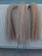 Hangende pluimen voor in een vaas, Ophalen, Zo goed als nieuw