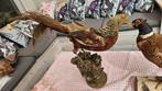 2x Opgezette Fazanten - Taxidermie, Antiek en Kunst, Curiosa en Brocante, Ophalen of Verzenden
