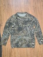 Trui van het merk Rossini maat 38, Kleding | Dames, Maat 38/40 (M), Ophalen of Verzenden, Zo goed als nieuw, Rossini