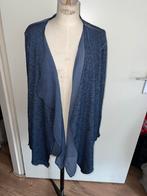 Vest maat 48 dames, Kleding | Dames, Blouses en Tunieken, Ophalen of Verzenden, Zo goed als nieuw, Maat 46/48 (XL) of groter, Blauw