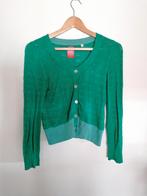 Zoe loveborn ajour vestje retro vintage groen blauw S, Kleding | Dames, Verzenden