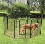 Puppyren te huur! Voor maar €5 per week, Dieren en Toebehoren, Ophalen, Zo goed als nieuw, 110 cm of meer