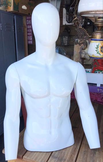 HEREN TORSO PASPOP beschikbaar voor biedingen