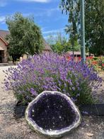 Amethist Geode (18) 26,2 kg 38x34x28cm, buitencatagorie!, Ophalen of Verzenden, Mineraal