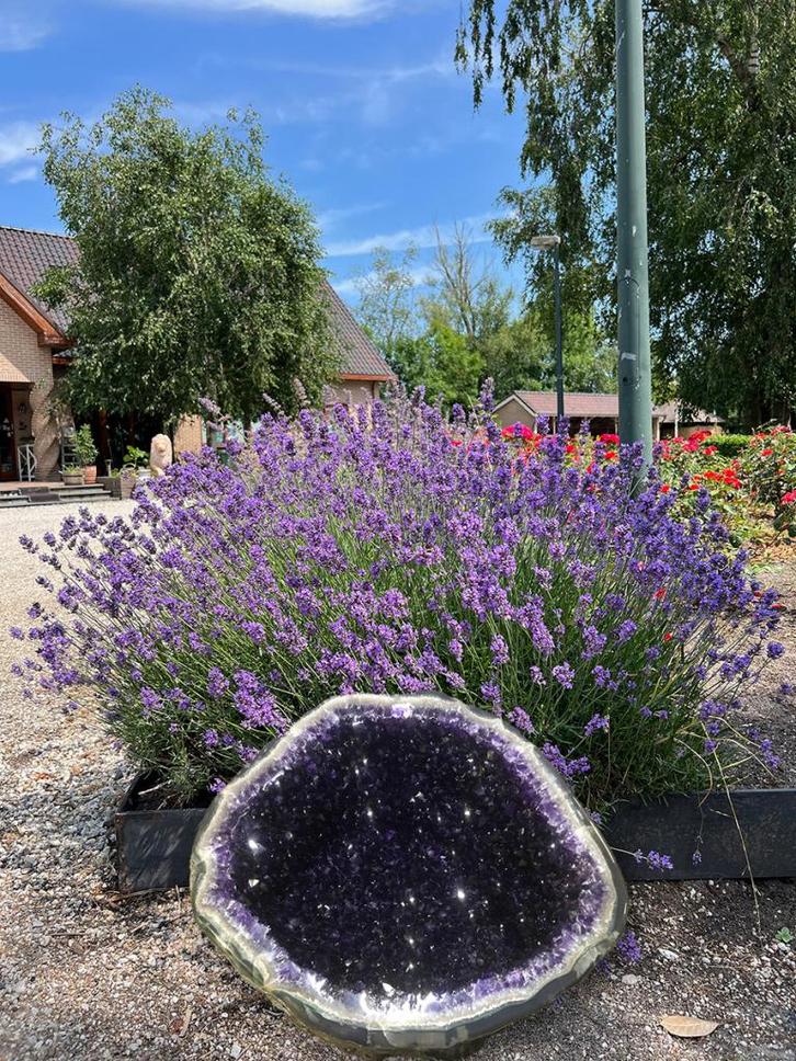 Amethist Geode (18) 26,2 kg 38x34x28cm, buitencatagorie!, Verzamelen, Mineralen en Fossielen, Mineraal, Ophalen of Verzenden