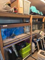 2x Juwel aquarium 100x50x40cm in passende stellage, Dieren en Toebehoren, Vissen | Aquaria en Toebehoren, Ophalen, Gebruikt, Leeg aquarium