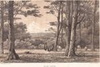 In de Lutte. Originele Getinte Litho Schipperus 1875, Ophalen of Verzenden