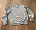 Polo Ralph Lauren Trui Grijs Maat M, Ralph Lauren Polo, Maat 48/50 (M), Ophalen of Verzenden, Zo goed als nieuw