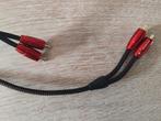 AudioQuest Golden Gate RCA interlink 3m, Ophalen of Verzenden, Zo goed als nieuw, 2 tot 5 meter, Interlink-kabel