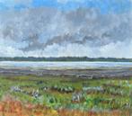 Zeeuws landschap, Ophalen of Verzenden