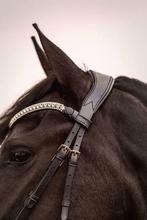 Anatomisch kopstuk L'Anique maat Cob, Dieren en Toebehoren, Ophalen of Verzenden, Nieuw, Overige soorten