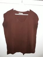 Circle of Trust Bruin T-shirt met V-hals Maat XL, Kleding | Dames, Ophalen of Verzenden, Bruin, Zo goed als nieuw, Maat 46/48 (XL) of groter