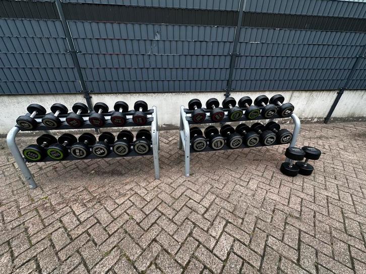 Dumbells 12kg t/m 36kg + 2 Technogym Opbergrekken, Sport en Fitness, Fitnessmaterialen, Gebruikt, Dumbbell, Ophalen
