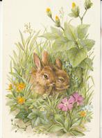 vintage wenskaart van twee konijnen door 'Sallwey', Verzamelen, Ansichtkaarten | Dieren, Verzenden, 1980 tot heden, Gelopen, Knaagdier