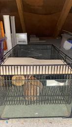 Caviahok met toebehoren, Dieren en Toebehoren, Ophalen, Gebruikt, Kooi, Minder dan 60 cm