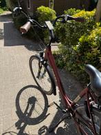 Elektrische fiets Forza Toscane e-bike framemaat ws 53, Gebruikt, Versnellingen, 50 tot 53 cm, Ophalen