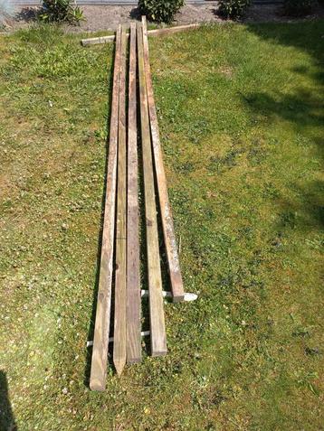 5 douglas palen (ca 4 meter) beschikbaar voor biedingen