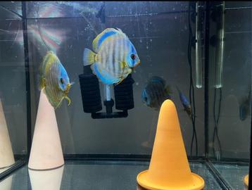Juwel Aquarium Lido 120 beschikbaar voor biedingen