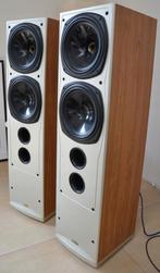 Tannoy Saturn S10 Luidsprekers - Topklasse Geluid, Audio, Tv en Foto, Luidsprekers, Overige merken, Gebruikt, Ophalen of Verzenden