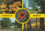 MEIJEL Paddenstoelen Bosgezichten Klaproos Groeten, Verzamelen, Ansichtkaarten | Nederland, Verzenden, 1980 tot heden, Gelopen