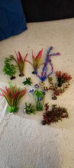 Nep plantjes, Dieren en Toebehoren, Vissen | Aquaria en Toebehoren, Ophalen of Verzenden, Plant(en), Steen of Hout