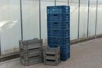 13x kunststof kist 60x40cm en 40x30cm, Ophalen, Gebruikt, 40 tot 60 cm, 50 tot 75 cm