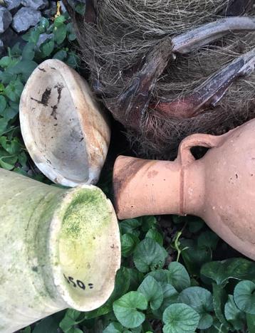 antieke terracotta oude vazen kruiken kwaliteit beschikbaar voor biedingen