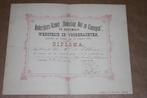 Diploma Rederijkers-Kamer Oostwold (Gron) - 1885 !!, Antiek en Kunst, Ophalen of Verzenden