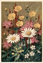 VHK, boterbloemen, Jan Voerman, Verzenden, 1960 tot 1980, Ongelopen, Overige thema's