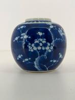 Blauw-witte prunus gemberpot | Oosters porselein, Ophalen of Verzenden