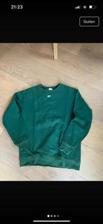 Groene Trui/ sweater Sizz the Brand maat M, Kleding | Dames, Truien en Vesten, Verzenden, Zo goed als nieuw, Groen