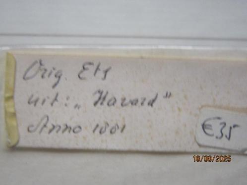 Nog in plastic Een etsje in passsepartout van HARVARD, Antiek en Kunst, Kunst | Etsen en Gravures, Ophalen of Verzenden