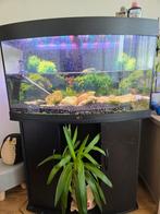 Aquarium 180liter 128x92x41cm, Dieren en Toebehoren, Ophalen, Leeg aquarium