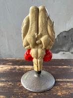 Zeldzaam anatomisch model Gips Hond hersens, Ophalen of Verzenden