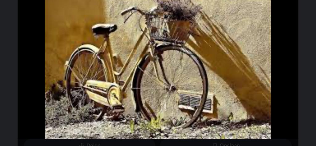 Gevraagd; gratis afdankers en opknappers, Fietsen en Brommers, Fietsen | Heren | Herenfietsen, Ophalen, Gebruikt, Overige merken