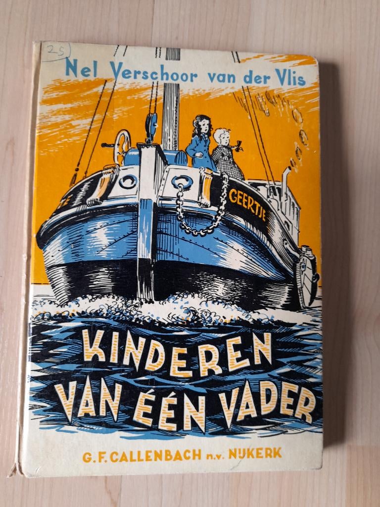 KINDEREN VAN EEN VADER  Nel Verschoor-van der Vlis, Ophalen of Verzenden, Gelezen, Fictie algemeen