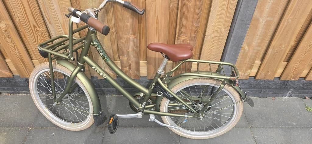 Loekie fiets 20 inch, Ophalen, Gebruikt, 20 inch