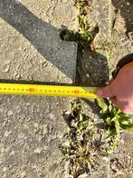 68x betonnen Agriplaten / Erfverhardingsplaten van 120x80 cm, Ophalen, Gebruikt, Overige typen, 10 m² of meer