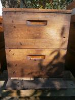 Buckfast bijenvolk in red cedar kast te koop (4), Bijen