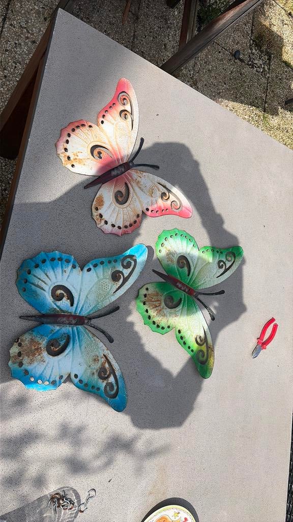 Tuinvlinders, Ophalen