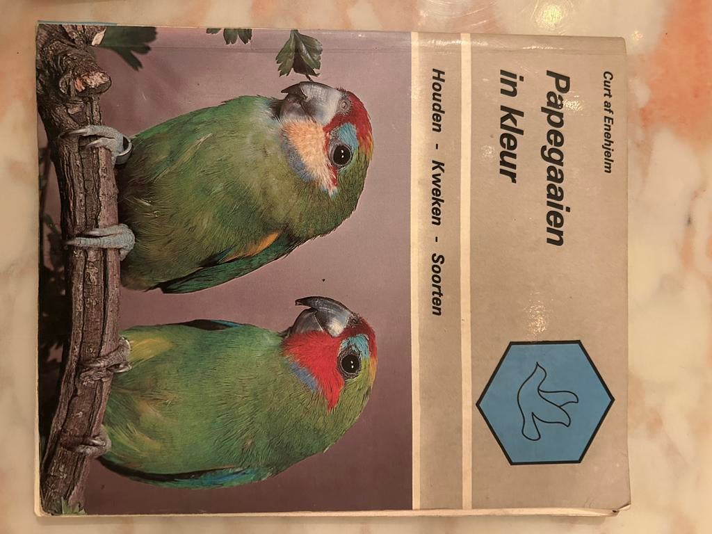 Papagaaien houden en kweken, Dieren en Toebehoren, Vogels | Parkieten en Papegaaien, Meerdere dieren, Parkiet