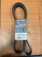 Dayco Poly-V Riem 10PK2495HD - meerdere te koop, Nieuw, Ophalen of Verzenden, Nvt, Universele onderdelen
