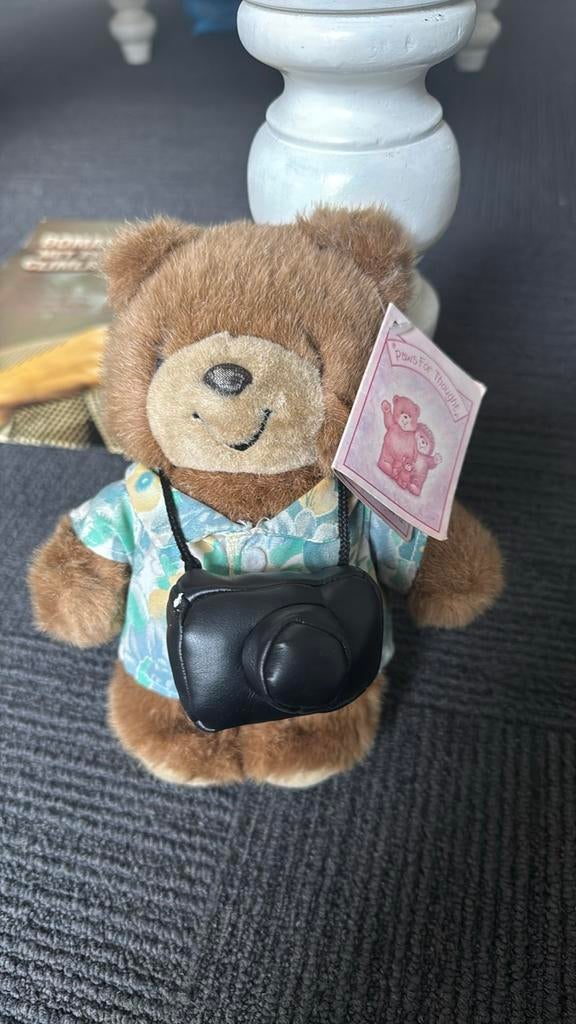 Schattige teddybeer met camera en Hawaiiaans shirt, Ophalen of Verzenden, Zo goed als nieuw, Beer