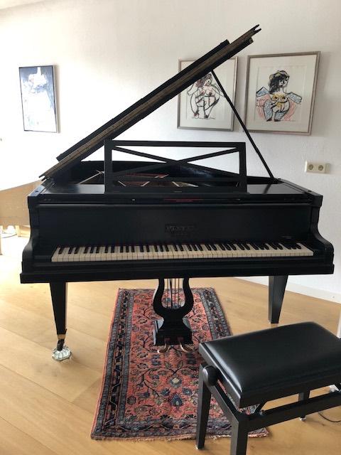 vleugel Pleyel Paris, Muziek en Instrumenten, Piano's, Ophalen, Gebruikt, Zwart, Vleugel