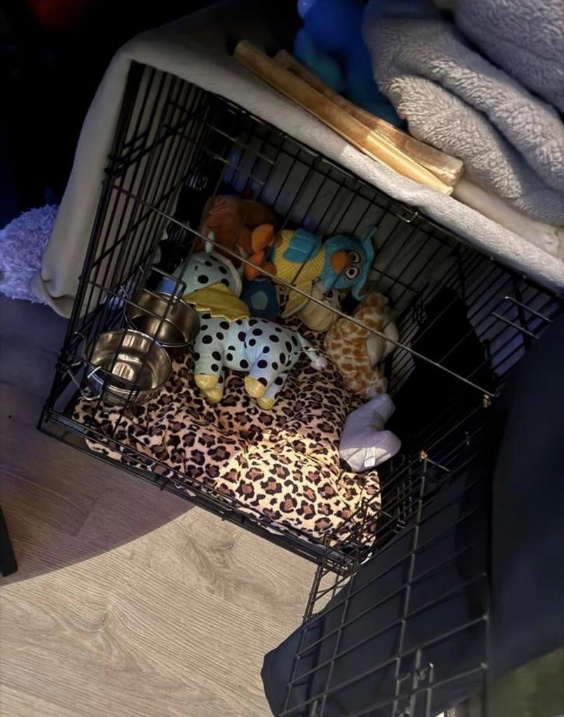 Honden bench, Ophalen of Verzenden