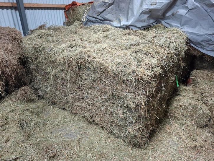 Kleine balen geanalyseerd Duits Kruidenhooi - ontstoft, Dieren en Toebehoren, Dierenvoeding, Vee, Ophalen