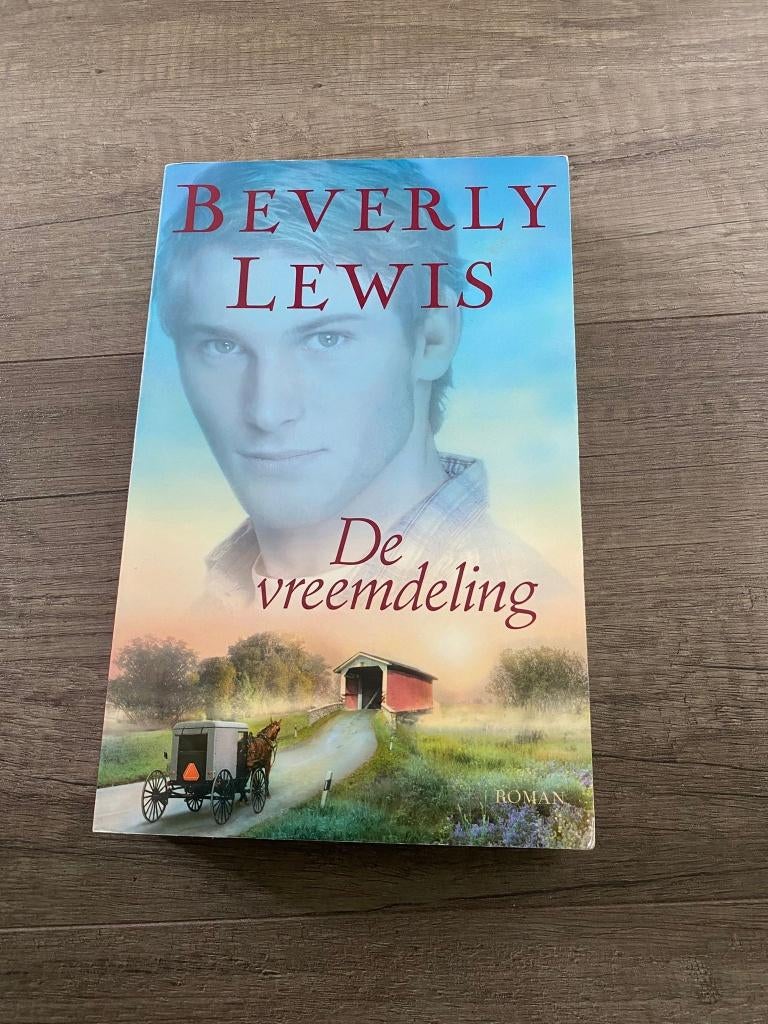 Beverly Lewis - De vreemdeling, Boeken, Romans, Ophalen of Verzenden, Zo goed als nieuw, Beverly Lewis