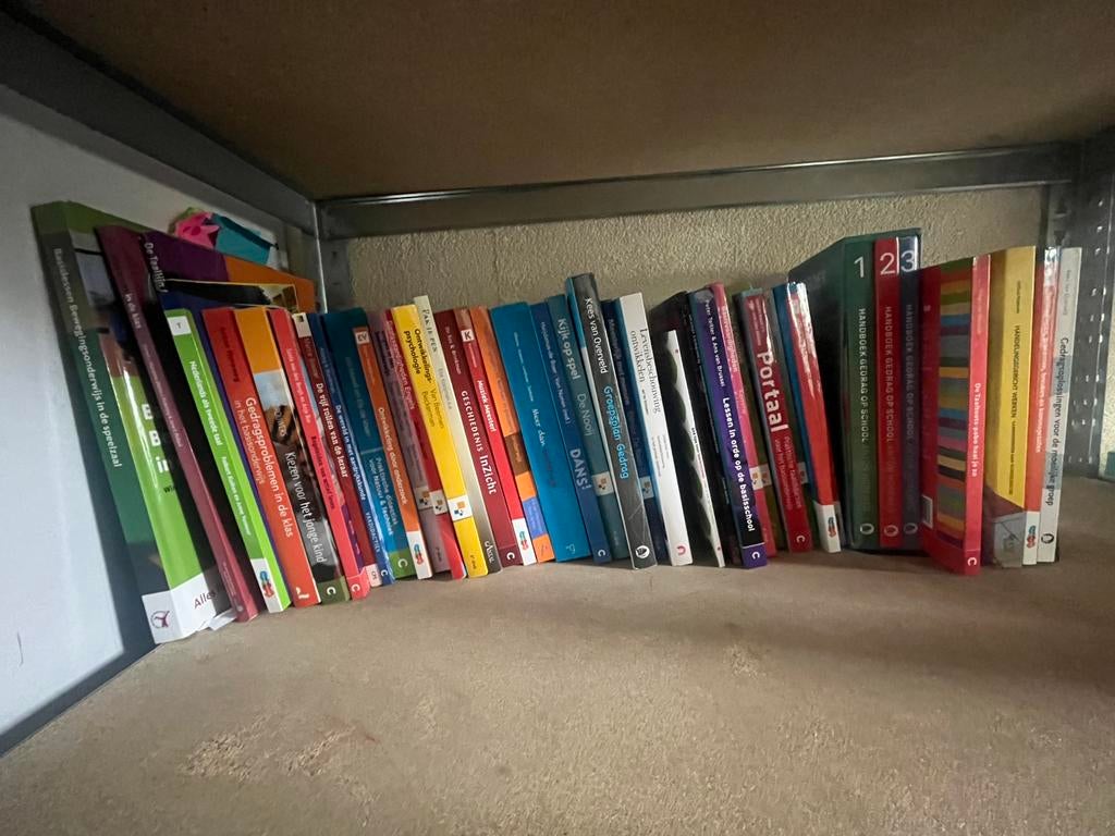 Pabo boeken, Ophalen of Verzenden, Zo goed als nieuw, Overige typen