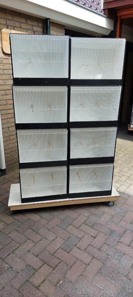 8 grote tt kooien, Ophalen, Gebruikt, Hout, Overige typen